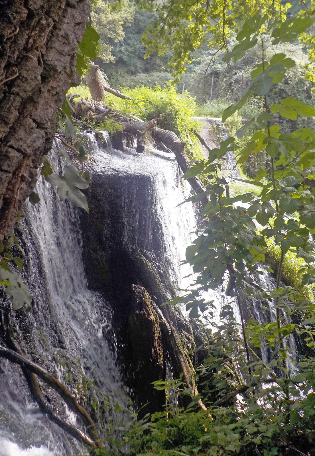 Cascata del Fosso della Mola alla Mola di Formello