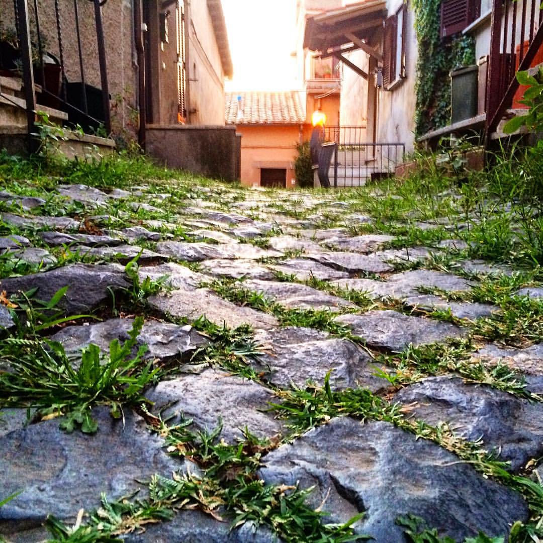 Il selciato di un vicolo del centro storico di Formello, con l'erba tra le pietre e le case in fondo