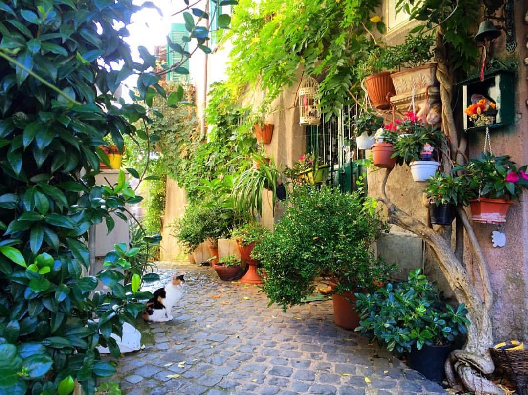 Formello: un vicolo del centro storico (foto del comune, non dell'attività)