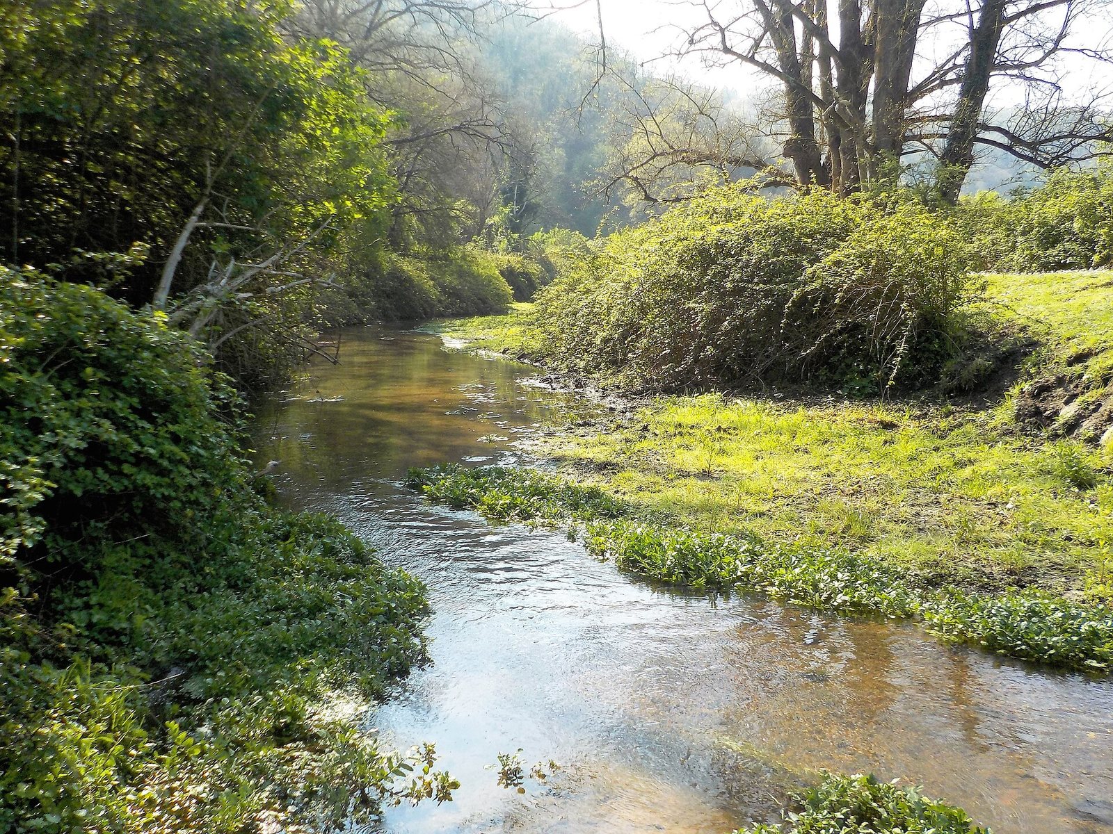 Cremera, Valle del Sorbo, Parco di Veio, Rome.jpg