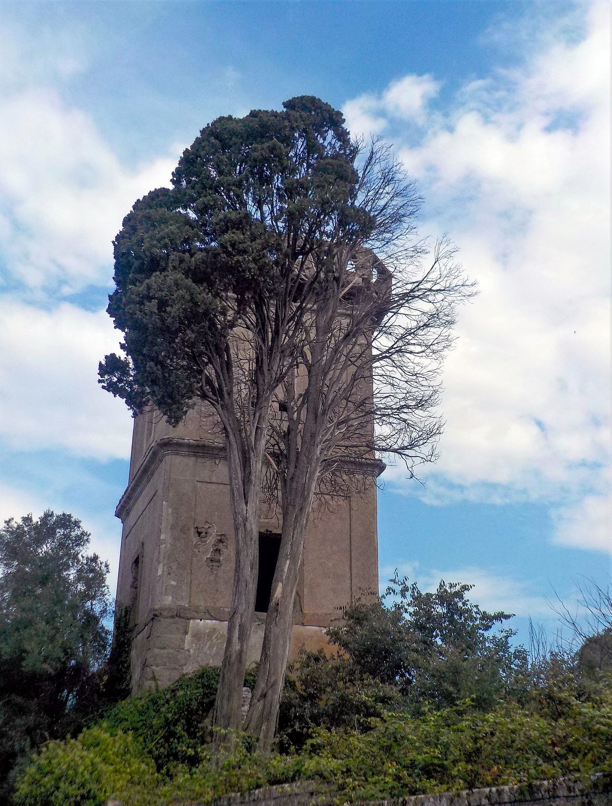 Cipresso e Torre Colombaia a Villa Chigi Versaglia.jpg